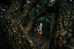 BIB: 
                            <button type="button" onclick="openModal(25678924)" class="btn btn-primary btn-sm float-right btn-popup" data-toggle="modal" data-target=".modal-high-quality">
                        <i class="fas fa-shopping-cart"></i> Add to Cart
                    </button>
                                            <button type="button" onclick="isThisMe(25678924, true)" class="btn btn-success btn-sm float-right btn-popup btn-isme hidden" data-toggle="tooltip" data-placement="bottom" title="นี่คือรูปของคุณใช่ไหม คลิกที่นี่เพื่อเอาเข้าอัลบั้ม">
                        <i class="fas fa-plus"></i> Add to album
                    </button>
                    <button type="button" onclick="isThisMe(25678924, false)" class="btn btn-warning btn-sm float-right btn-popup btn-isnotme hidden">
                        <i class="fas fa-ban"></i> Remove from album
                    </button>